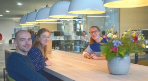 Het dagelijks werk van de consultants